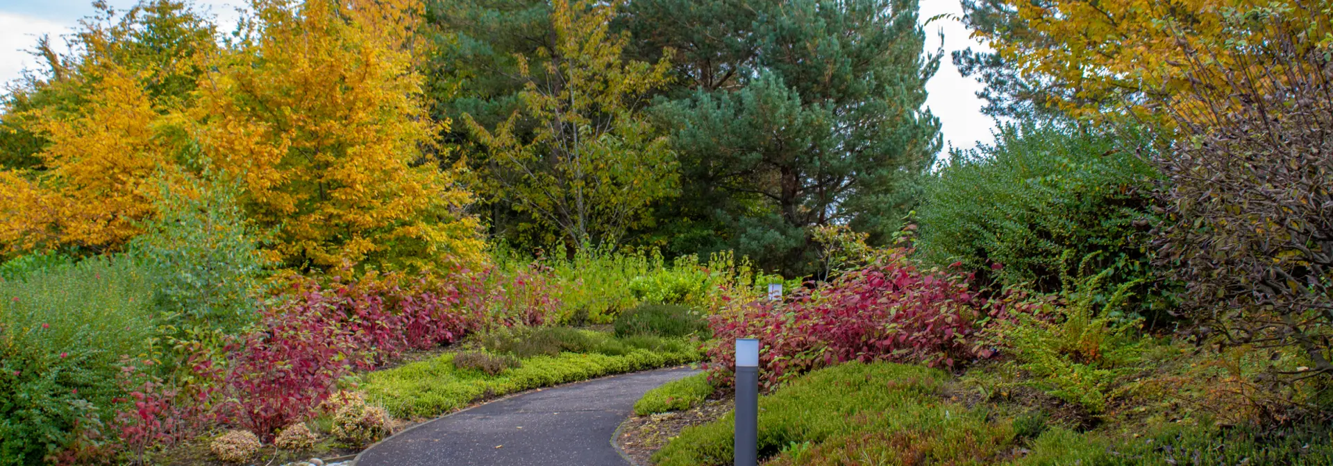 Paved walkway through gardens with autumnal coloured trees.