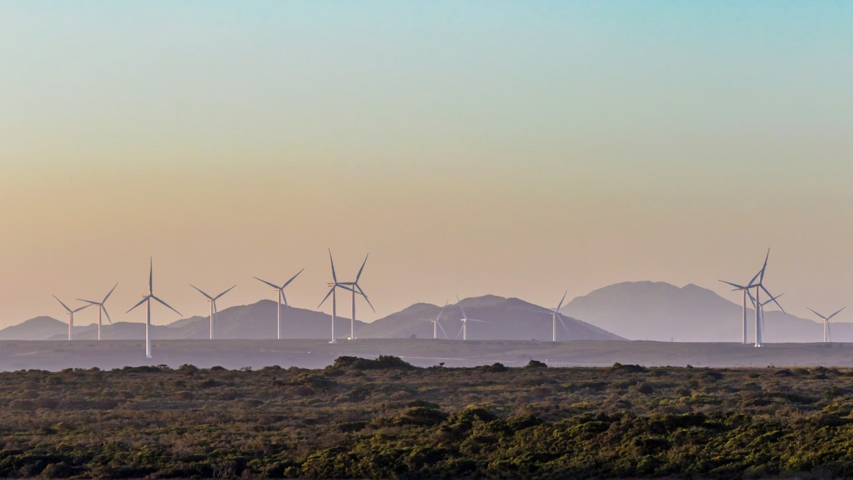 Wind farm from afar at sunrise