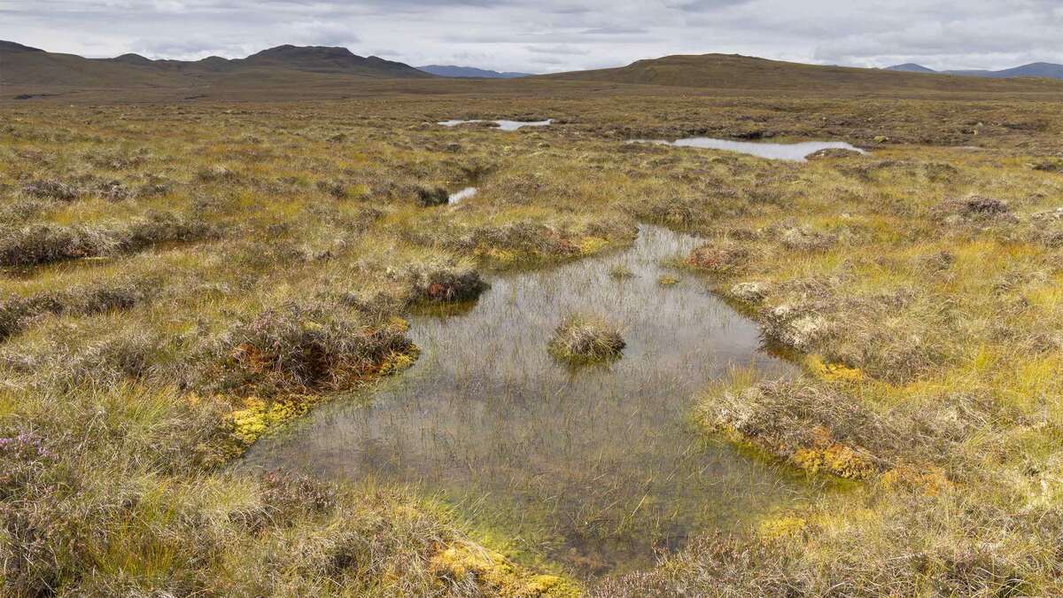 Peatland in the Affric Highlands