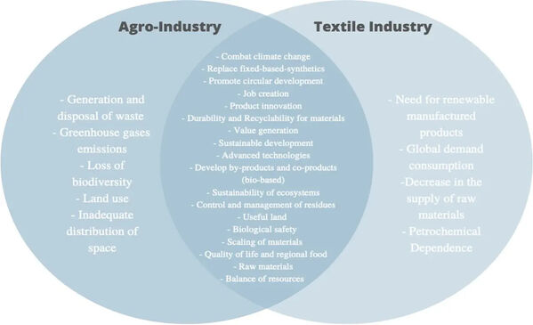 Detail showing Agro industry overlaps with Textile industry from Masters presentation by Amina Yashi Chemmala