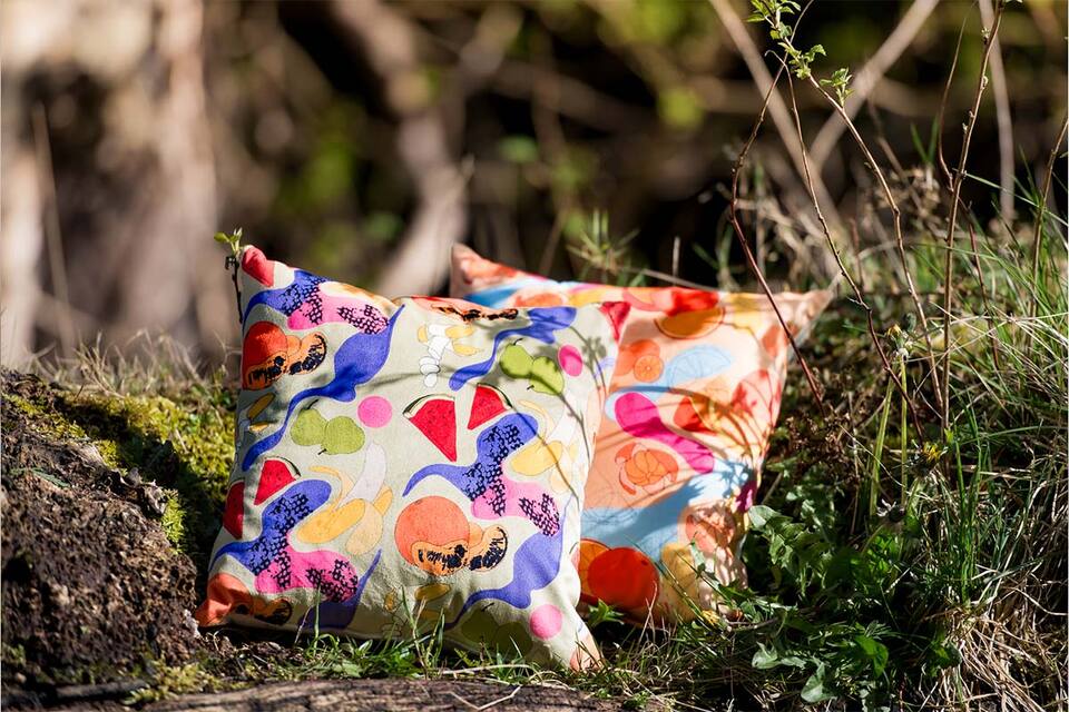 Colorful pillows resting on green grass, one in red and the other in blue, creating a cheerful scene.